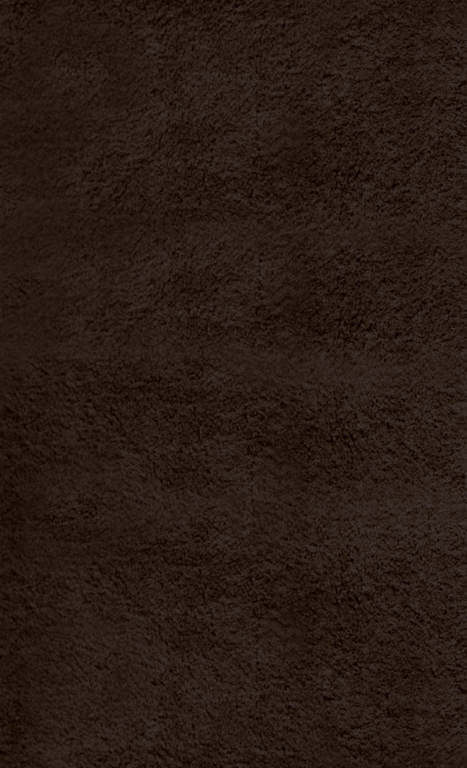 Sena 3781 – Shaggy-Teppich in Braun
