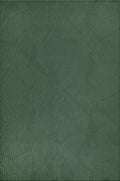 Derin 39146 – Moderner Teppich in Waldgrün